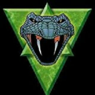 Steelviper Portfolio