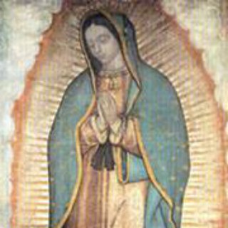 DivinoVolereDivinoAmore