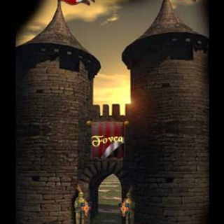 FoveaOnLine