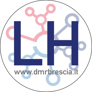 ?? DMR Brescia Network