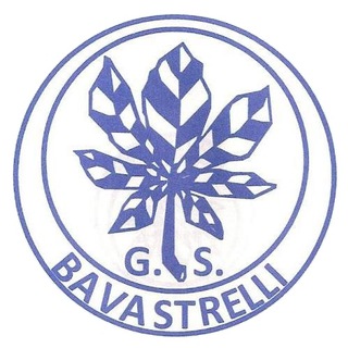 ⚪️?G.S. Bavastrelli official⚪️?