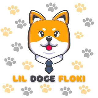 Lil Doge Floki - lil doge floki