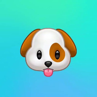 Santa Monica - Australian Shepherd