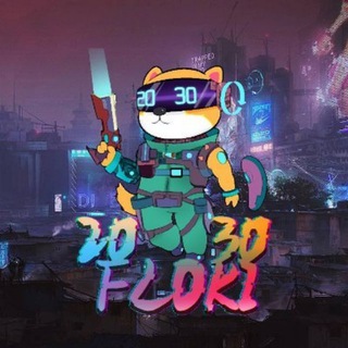 2030 Floki （Audited and Doxxed)