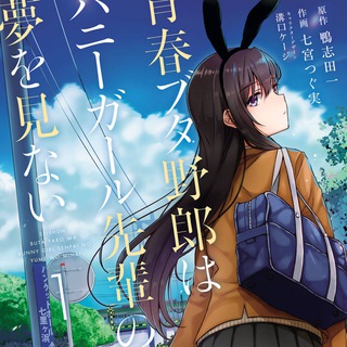 Seishun Buta Yarou wa Bunny Girl Senpai no Yume wo Minai