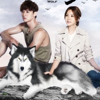 Prince of Wolf [K-Drama Family]