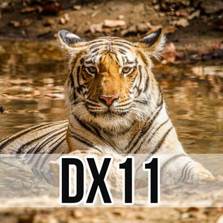 DX11 Likes Only - IG Boosting