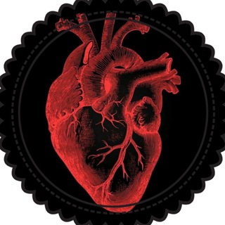 Medicine heroes الطب