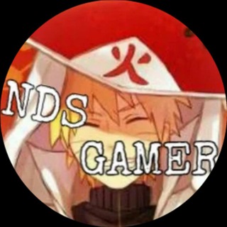NDS GAMER - ndsgamer