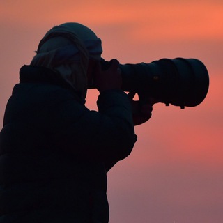 طلال اليحياء