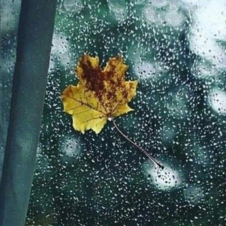 ?زحــمٌٍٍٍُِِِِّــة حــًٌٍٍٍٍٍٍُِِِِِِّـكــي ـٌٍٍٍُِِِِّ?