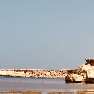 جهينة الإخبارية