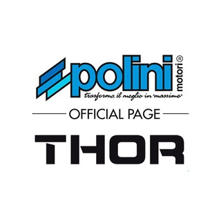 POLINI THOR OFFICIAL - polini thor 303