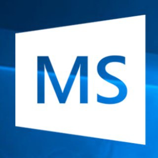 MSReview
