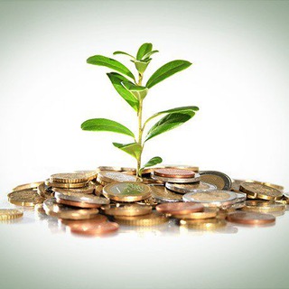 Инвестор в акции