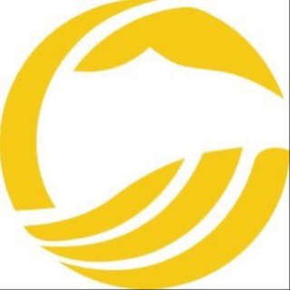 Project: One Whale - project one whale