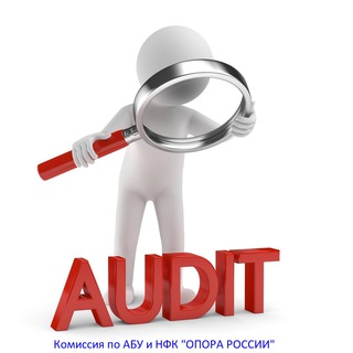 Вопросы аудита и бухучета в РФ (ОПОРА РОССИИ)