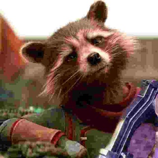 Rocket token - rocket raccoon coin