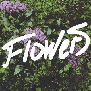 [Moved to @Flower] - telegram flower