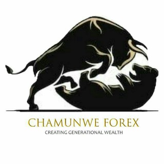 *Chamunwe Forex*