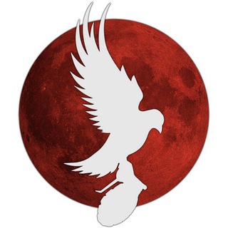 Hollywood Undead: News