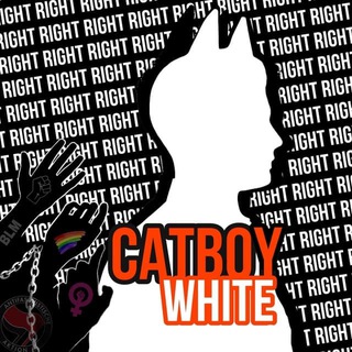 Catboywhite link - tiffs pole fitness