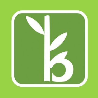 BAMBOO Official Group - trinibamboo