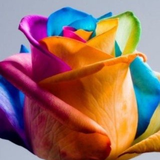 World history in tamil