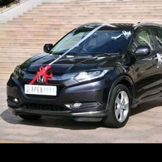 Apexaura Success Team