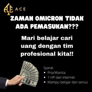 Peluang Bisnis Sampingan - ACE