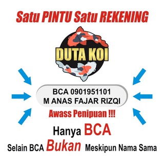 DUTA KOI BLITAR (Jual Ikan Koi)