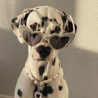 WHATWEWORE - whatwewore