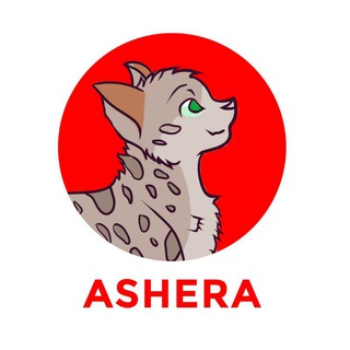ASHERA ANNOUNCEMENT