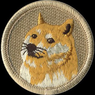 Dogecoin Future LTD Pays