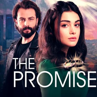 Yemin The Promise Hindi/Urdu