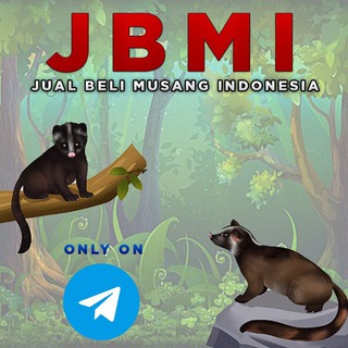 JUAL BELI MUSANG BANDUNG