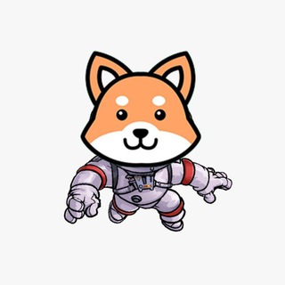 ShibaSpace Group