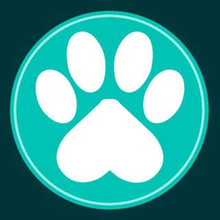 PAW digital - Global