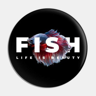 PASAR BETTA FISH MALANG