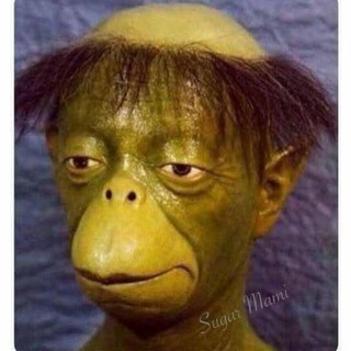 Weld Cuentas Premium