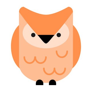 Owl Lyrics