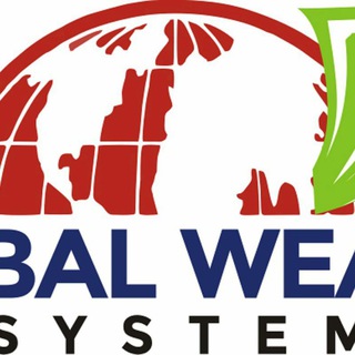 GLOBAL WEALTH SYSTEM