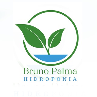 Bruno Palma Hidroponia ??