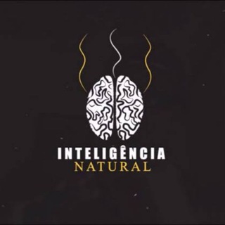IN- Inteligência Natural ⚡️
