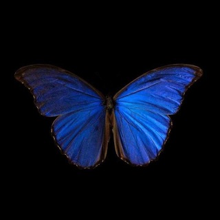 путь в никуда