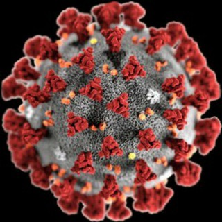 Coronavirus Covid 19 Update - covidvisualizer com india
