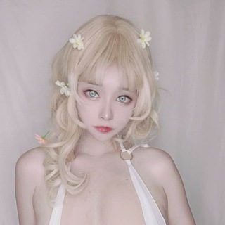 Airdrop Rich - koshu inu