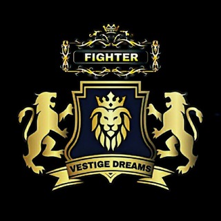 ?? ? Vestige Dreams Fighter ???