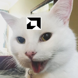 AMD CAT Check