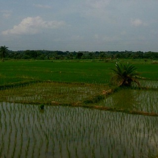 AGRICULTURE - agrilearner